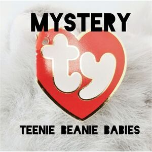MYSTERY Ty Vintage Teenie Beanie Babies